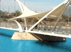 Beautiful Free Shade on the Tempe Lake Bridge