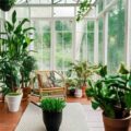in home greenhouse to grow flowers and plants inside